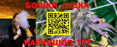 соль ск Славгород