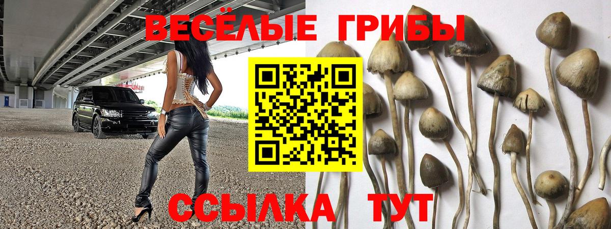 Галлюциногенные грибы прущие грибы Норильск